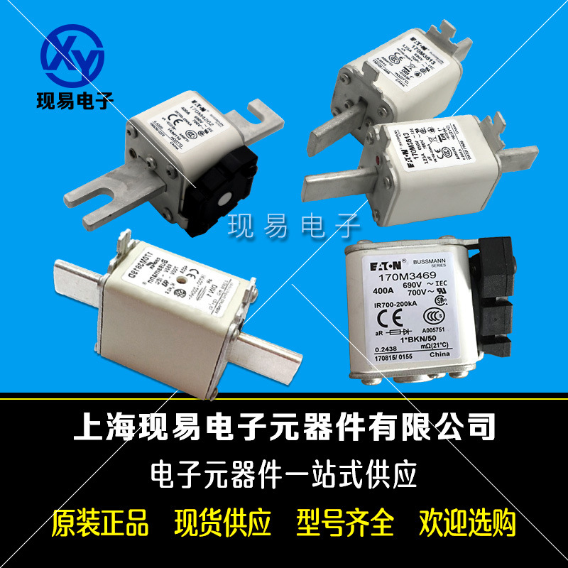 伊顿巴斯曼熔断器170M6162 170M6163 170M6164 170M6165 170M6166